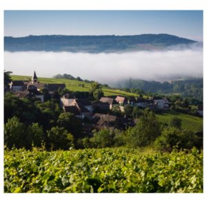 Bourgogne Wines Cave de Prestige selection for 2019