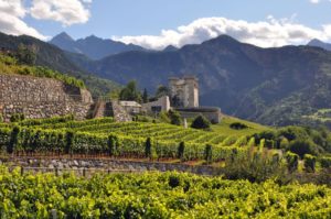 Italy is named the world’s best wine country