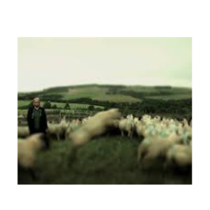 Glenfiddich Announces Canadian Artists in Residence Program for 2020