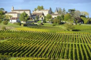 The CIVB (Conseil Interprofessionnel du vin de Bordeaux) to set aside wines from 2020 to reduce oversupply