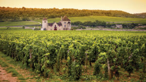 What’s in a name? The Bourgogne family explains…
