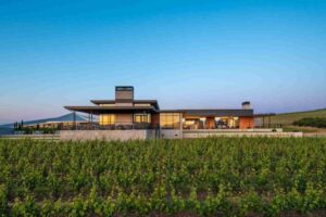 The Bollinger Family to Acquire Oregon’s Famed Ponzi Vineyards