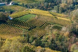 The National Wine Committee approves the “Canelli” DOCG