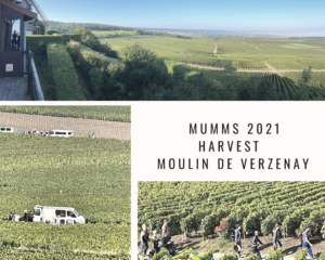 Mumm 2021 Harvest – Part l – Moulin de Verzenay and Coffee
