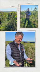 Mumm 2021 Harvest – Part ll – Regenerative Viticulture