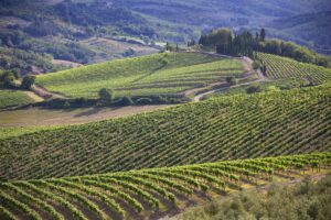 Chianti Classico, A Wine Tourism Destination Par Excellence – Filippo Magnani