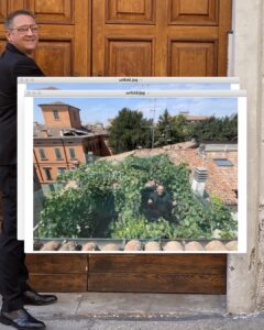 ‘Via Maria 10’ The World’s Smallest Vineyard