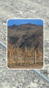 European Commission sets out the continent’s first soil law