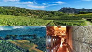 Exploring Irpinia: Italy’s Hidden Gem of Natural Beauty and Winemaking Excellence