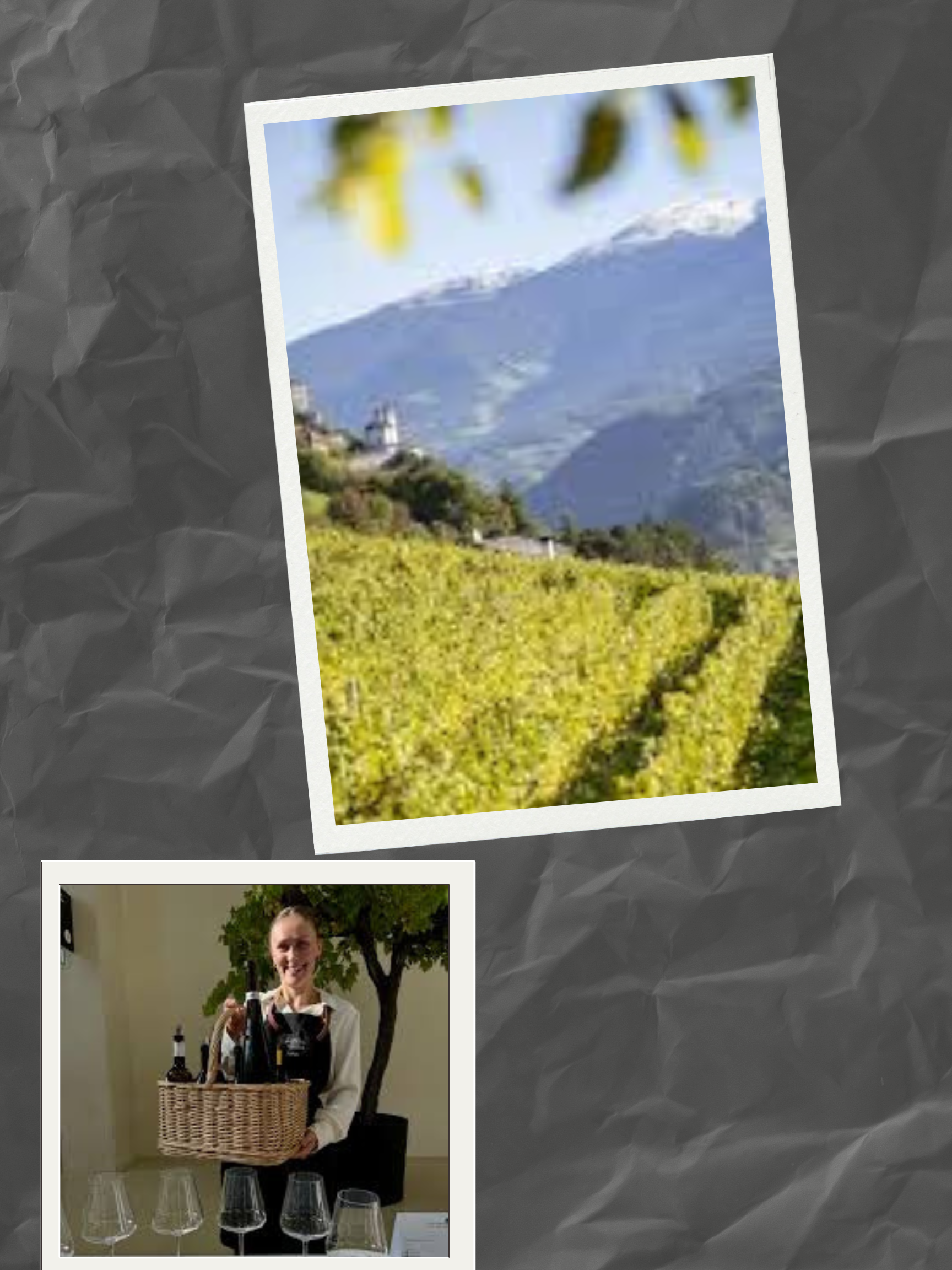 Alto Adige Wine Summit 2025: Expanding Horizons and Strengthening Global Influence