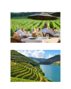 European Wine Tourism Index 2025: Ranking Europe’s Leading Wine Destinations