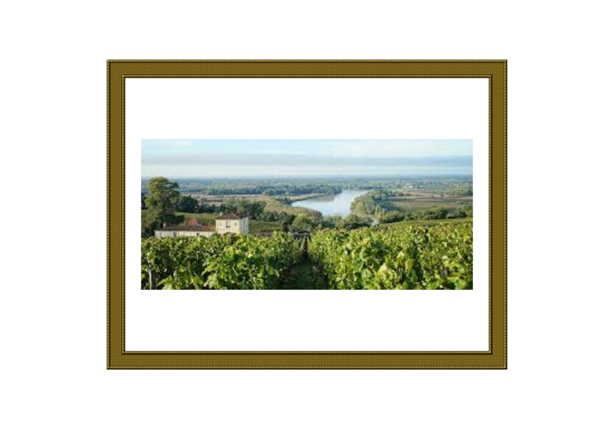 Bordeaux Claret and the Evolution of Appellation Identity