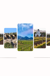 Valle de Guadalupe: How Mexico’s Premier Wine Region Became a Global Luxury Wine Tourism Destination