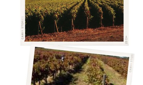 2 frames for instagram story (2)