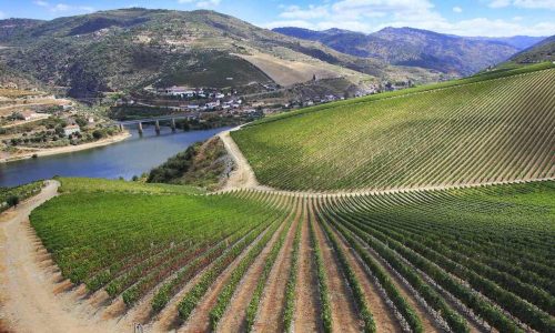 Aranda de Duero has been named “European City of Wine” for 2022
