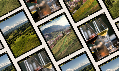 Austrian Wine_Liz Palmer