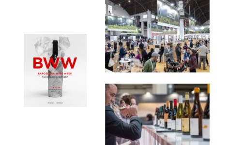 Barcelona Wine Week_Liz Palmer_2026