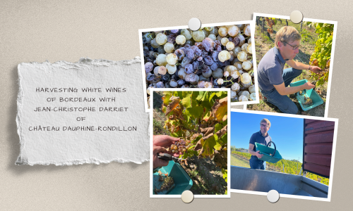 Beige Torn Paper Vision Board Life Goals Photo Collage