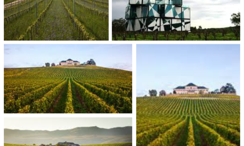 Blue and Yellow Travel Photo Collage Instagram Post