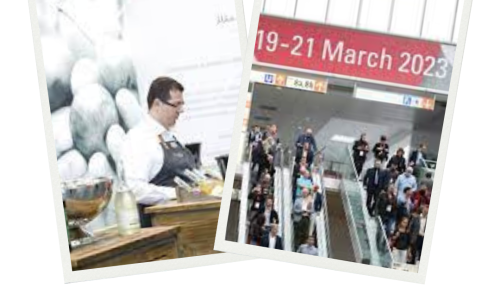 Brown Polaroid Fashion Photo Collage Instagram Post