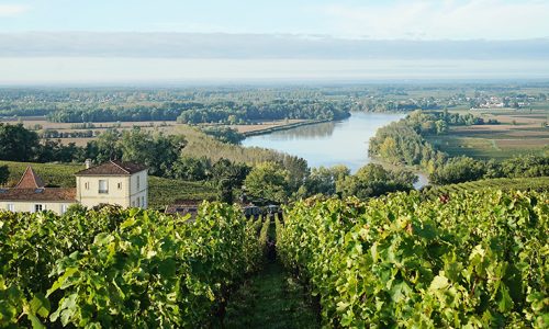 CHATEAU-Bordeaux