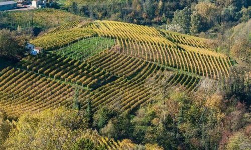 Canelli .Wine Region