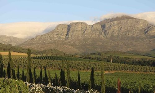 Cape wine route, South Africa