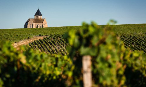 Chablis2012-87
