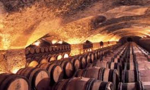 Champagne Region - Liz Palmer