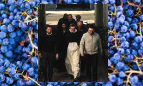 Copper and Tan Shadow Overlay Lifestyle 11 Static Feed Ad (1)