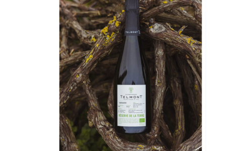 Copper and Tan Shadow Overlay Lifestyle 11 Static Feed Ad (1)