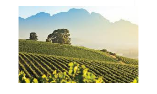 Copper and Tan Shadow Overlay Lifestyle 11 Static Feed Ad