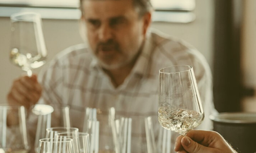 Cult Wine Investment Article #2