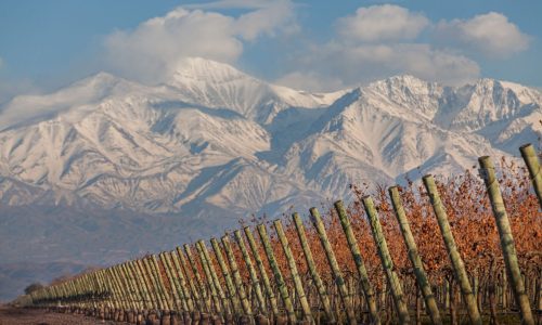 Finca-Decero-Remolinos-Vineyard-3500-ft-Agrelo-Mendoza-Argentina-2-1-1-e1533668446460
