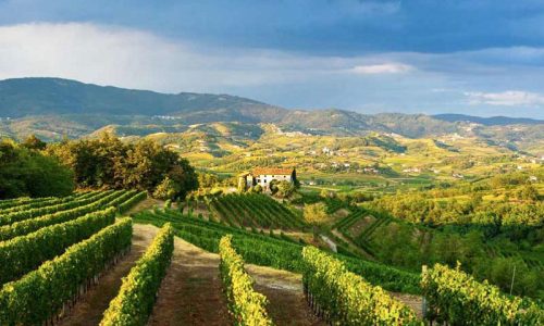 Friuli-Venezia-Giulia-1-890x480