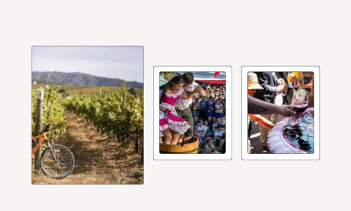 Chile’s 2026 Harvest Festivals: Consolidating Territorial Identity, Experiential Tourism, and Visitor Loyalty in Latin America’s Leading Wine Destination -Liz Palmer