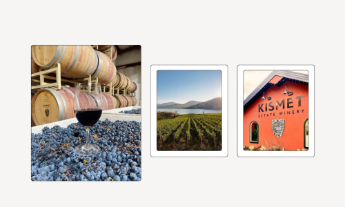 From Tasting to Creating The Rise of Experimental Wine Tourism