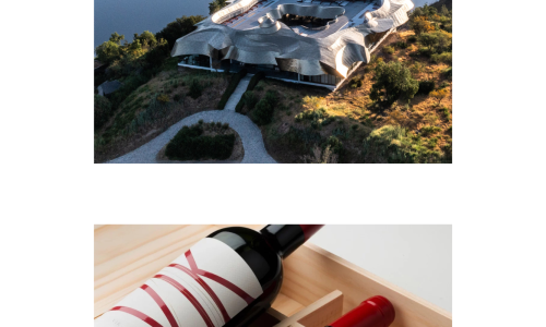 Greyscale Modern Woman Photo Collage (3)