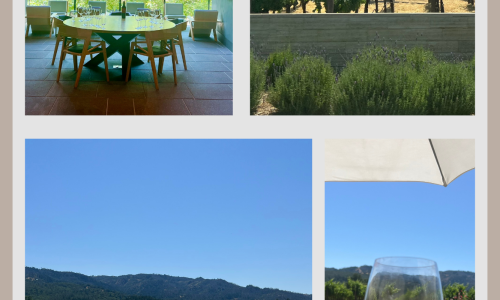 Hall Wines_Liz Palmer