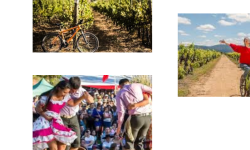 Harvest Season in Chile Wine Tourism Events Near Santiago from Maipo to Itata (2026 Guide)