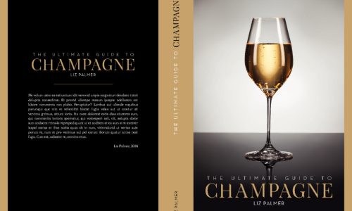 Liz-Palmer-Author-pdf