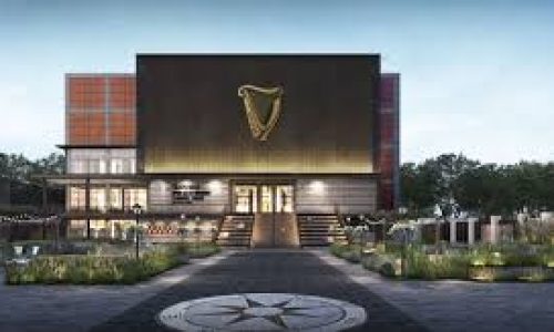 Liz Palmer Guinness