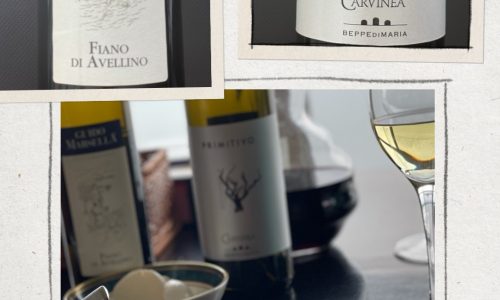 Liz Palmer Italian wine Regions