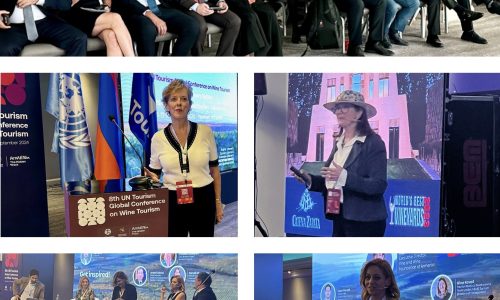 Liz Palmer_8th UN Tourism Global Conference on Wine Tourism_2024