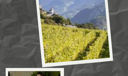 Liz Palmer_Alto Adige Wine Summit 2025