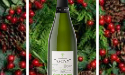 Liz Palmer_Champagne Telmont