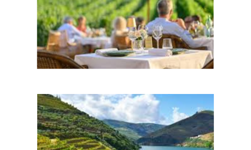 Liz Palmer_European Wine Tourism