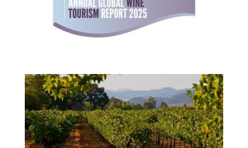 Liz Palmer_Global Wine Tourism Report 2025