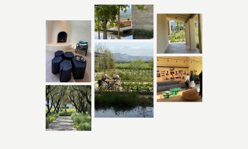 Liz Palmer_Mondavi Reopening_May 2026