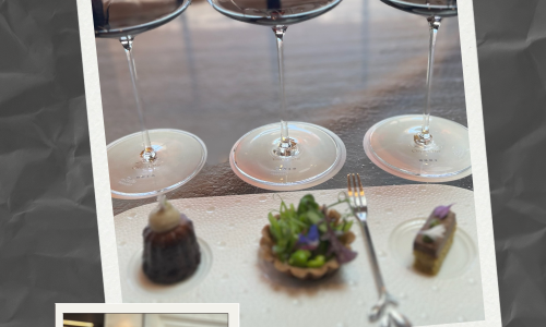 Liz Palmer_Opus One_California